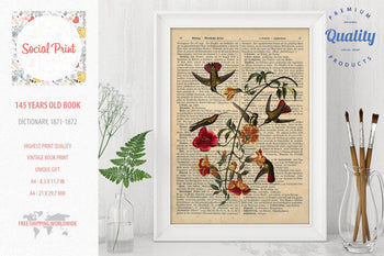 Mango Hummingbird - J.J. Audubon, 147 years old Vintage book page print