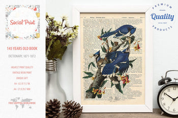Blue Jay - J.J. Audubon, 147 years old Vintage book page print