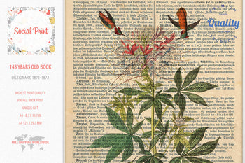 Ruff-necked Hummingbird - J.J. Audubon, 147 years old Vintage book page print