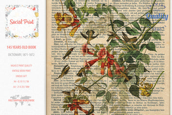 Ruby-throat Hummingbird - J.J. Audubon, 147 years old Vintage book page print