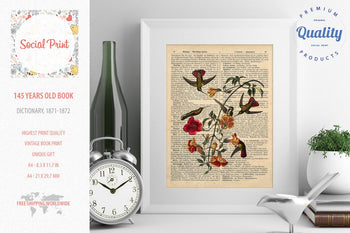 Mango Hummingbird - J.J. Audubon, 147 years old Vintage book page print
