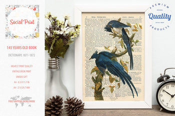 Columbia Jay - J.J. Audubon, 147 years old Vintage book page print