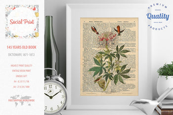 Ruff-necked Hummingbird - J.J. Audubon, 147 years old Vintage book page print