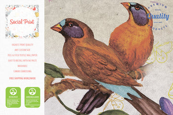 Peel & Stick Watercolor Birds and Flowers Wallpaper